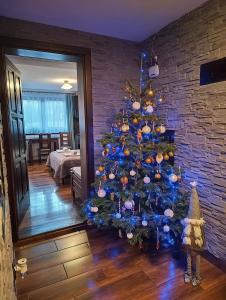 W sercu Małych Pienin - apartament