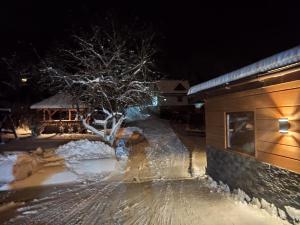 W sercu Małych Pienin - apartament