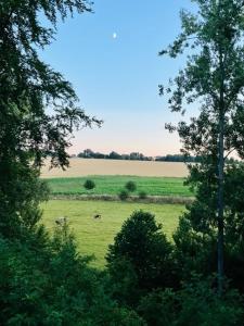 Caledonia - Maison familiale 4 chambres avec jardin clos - Côte dAlbâtre