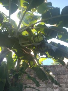 Diadema Ocean Resort Pwani