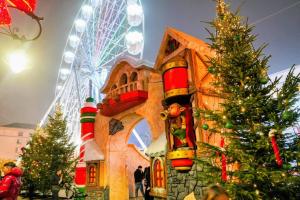 Panoramic Central View