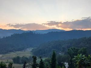 เดอะ เคบิน อินทนนท์ - The Cabin Inthanon