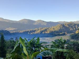 เดอะ เคบิน อินทนนท์ - The Cabin Inthanon