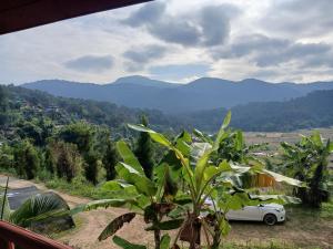 เดอะ เคบิน อินทนนท์ - The Cabin Inthanon