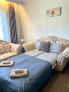 Prime Location! Cozy 1BR next to the Gondola