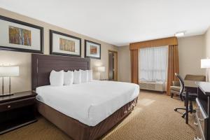 Best Western Bonnyville Inn & Suites