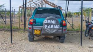 Unique Tree House Stay at Demi Farms