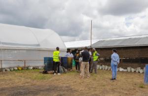 Unique Tree House Stay at Demi Farms