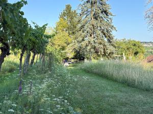 Naturgartenurlaub in Steffis Ferienwohnungen
