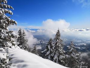 Juracîmes Appartements
