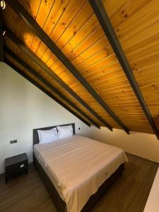 Sapanca CBC Plus Bungalov Villa