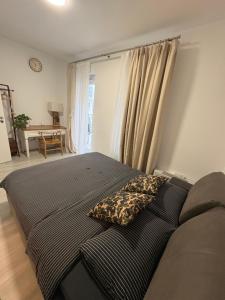 Danube 3 Beds with Big Balcony parking 10euro a day