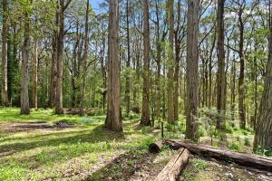 Tranquill 4BR Retreat