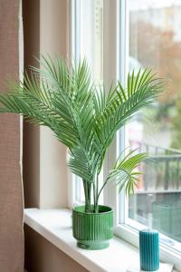 Cozy Apartment in Gdańsk ideal for remote work & Pet-friendly by Noclegi Renters