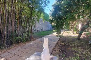 Lamandier - Maison avec jardin sans vis à vis