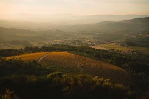 The Vinea Collection Hotel by Piamonte Hotels