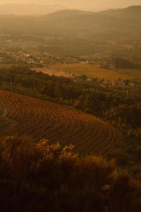 The Vinea Collection Hotel by Piamonte Hotels