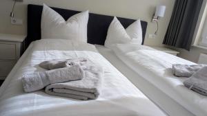 Haus-Passat-Ferienwohnung-Hannibal