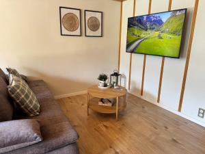 River-2 with Iconic Jungfraujoch View