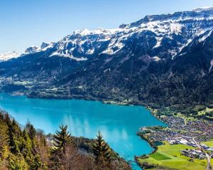 River-2 with Iconic Jungfraujoch View