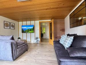 River-2 with Iconic Jungfraujoch View