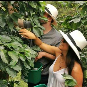 Ranch Style Home Jardin Del Eden