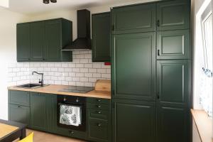 Kaszëbsko Nórcëk 8-10 osób 4 sypialnie jezioro las park linowy łowisko wędkarskie