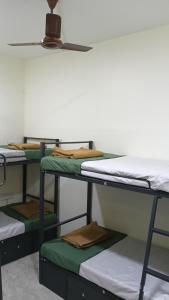 Vilva Premium Multi Sharing Rooms