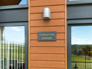 Centilen Pedr - Daffodil - Ukc7078