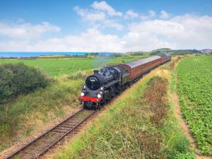 Little Seahorse - Ukc1066