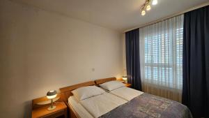 Central Apartment Anita Tour As Ljubljana