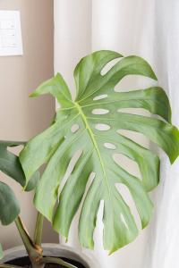 Depto con Pileta y SUM-Ideal Parejas