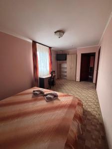 Хата Магната та Смерекова Хата