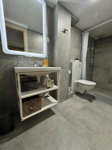 River - 3 with Iconic Jungfraujoch View