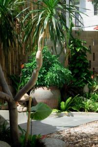 Cào Cào Homestay Mũi Né