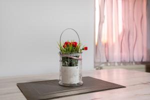 Le Quartier Blackforest-Straßburg