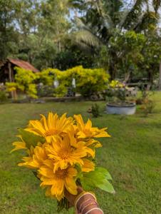 Villa serene galle