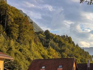 City Center Apartment 1