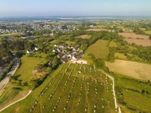 Carnac : Appt 2P+Mezz, Plage à 100m, Parking, Animaux admis - FR-1-477-56