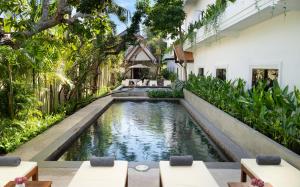 The Tree - Adults only