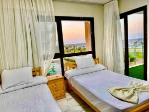 بورتو سعيد صف اول