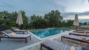 Modern villa Bibali Istra with pool in Buje