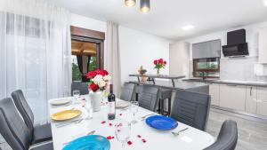 Modern villa Bibali Istra with pool in Buje