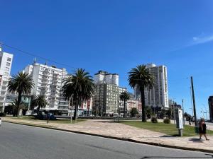 Depto Plaza Colón- luminoso