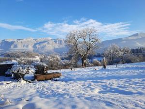 Maison au calme en Chartreuse