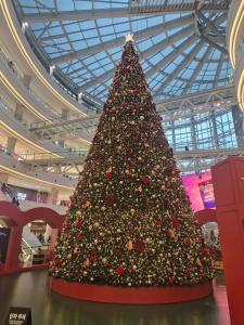 Stay Aurora#서울역차로5분#남영역도보8분#속대입구역 도보10분#숙소근처 맛집리스트 제공#K푸드탐방#경복궁#명동#이태원#홍대#1층#호텔식침구#서울윈터페스타