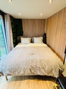 Containers aménagé au cœur des chants des grenouilles