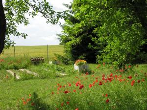 Haus Achterwiek - Ferienwohnung