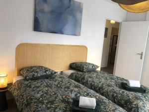 Appartement T3 63 m2 le Soen vue lac 2 chambres parking et terrasse vue lac