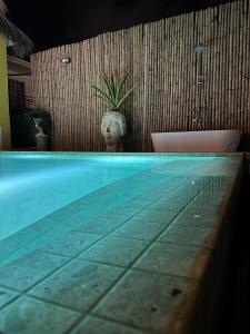 Lime Splash Private pool